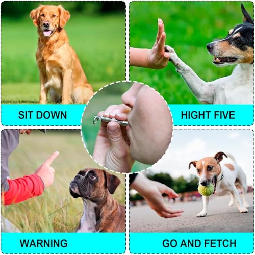 3 Stück Hundepfeife Rütter Rückruf, Hundepfeife Hochfrequenz Lautlos, Metall Hundepfeifen, Einstellbar Erziehungshilfen für Hunde, mit Lanyard für Hören Sie Auf Zu Bellen und Trainieren Sie Ihren Hund