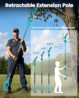 Electric Tree Saw for Pruning High Branches, 2-in-1 6" Brushless Mini Chainsaw Cordless with Extension Pole 2 Batteries, Battery Powered Hand held Chain Saw & Pole Pruner for Trimming Tree Limbs