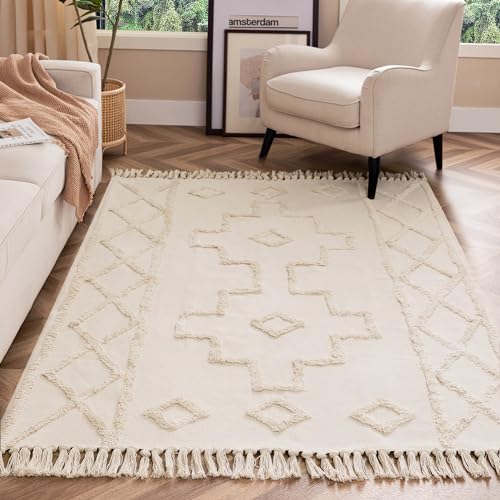 joycloth Boho Area Rug 4 x 6 ft Geometry Tufted