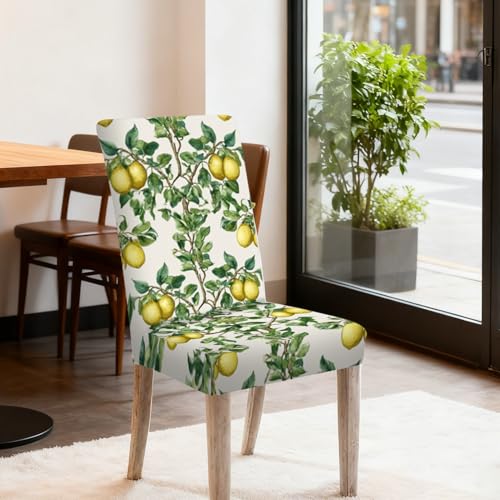 Image of Nuxovilar 6PCS Lemon Tree Yellow Green Leaf Stretch Chair Covers | Stretch Slipcover Furniture Protector Lemon Wrap Seat Guard Dining Room Kitchen Garden Cafe (Lemon Tree Pattern)