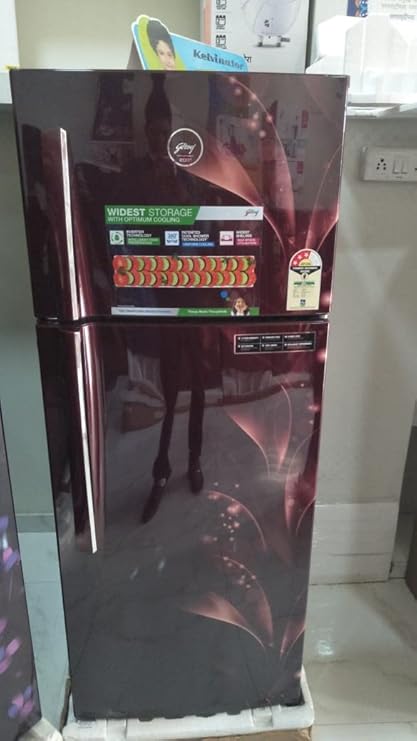 Refrigerator Maroon Floral PR5