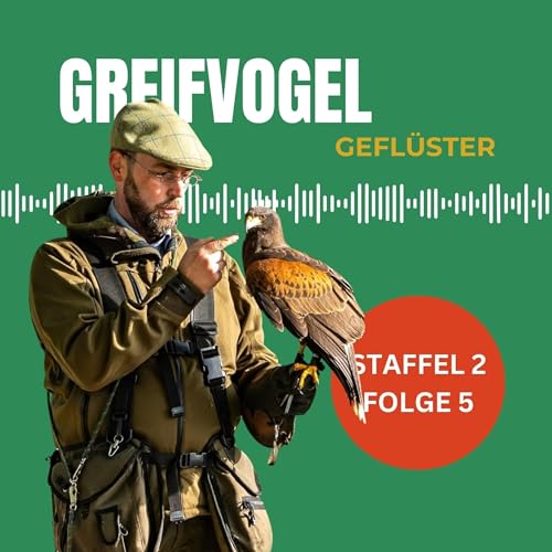 Harris Hawk - J&auml;ger mit Teamgeist Interview mit Claas Niehues