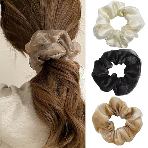 HAPVITAL VV VtH VV  l wA[v wAS l  傫 n  GKg Te Vv wAANZT[ wAANZT[ (Vv3_Zbg)