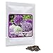 Produktbild Magic of Nature Riesen Zierlauch - 60 Samen je Pack - Riesenlauch - Winterharte Zierpflanze für Deinen Garten - Violette und weiße Blütenfarbe gemischt - Allium giganteum - mehrjährig