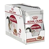 Royal Canin Adult Instinctive Wet Pouch 12 x 85g