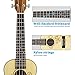 Hricane Concert Ukulele 23 Inch Spruce Flower Top Sapele Professional Ukuleles for Beginners with Bag, Digital Tuner, Strap, 4 Strings Set, Pick, Cleaning Cloth