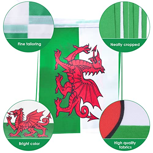 AhfuLife Welsh Flag Bunting 30pcs Flags for St David's Day, 10m Double Sided Wales Welsh Dragon Bunting for Six Nations Rugby Euro World Cup Football Party Decorations (20 x 28 cm - 12m, 1 Pack)