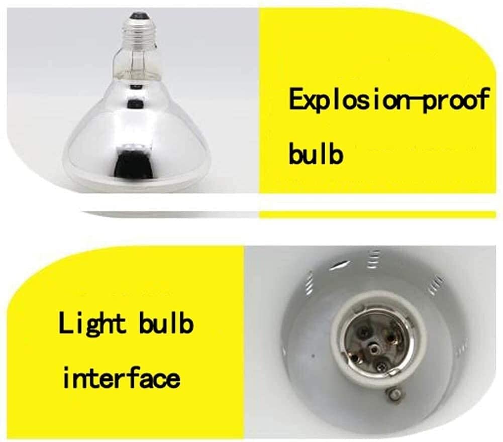 Equipex WD780B-2 30.5' Countertop Display Case and Food Warmer for Hot Foods, Two Tier, Stainless Steel, 120v, NSF