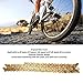 Bike Chain, 8 Speed Half Hollow Bike Speed Chain Lightweight Alloy Steel Cycling Chain External Chamfer Design for Mountain Road Bike Cycling (Gold)