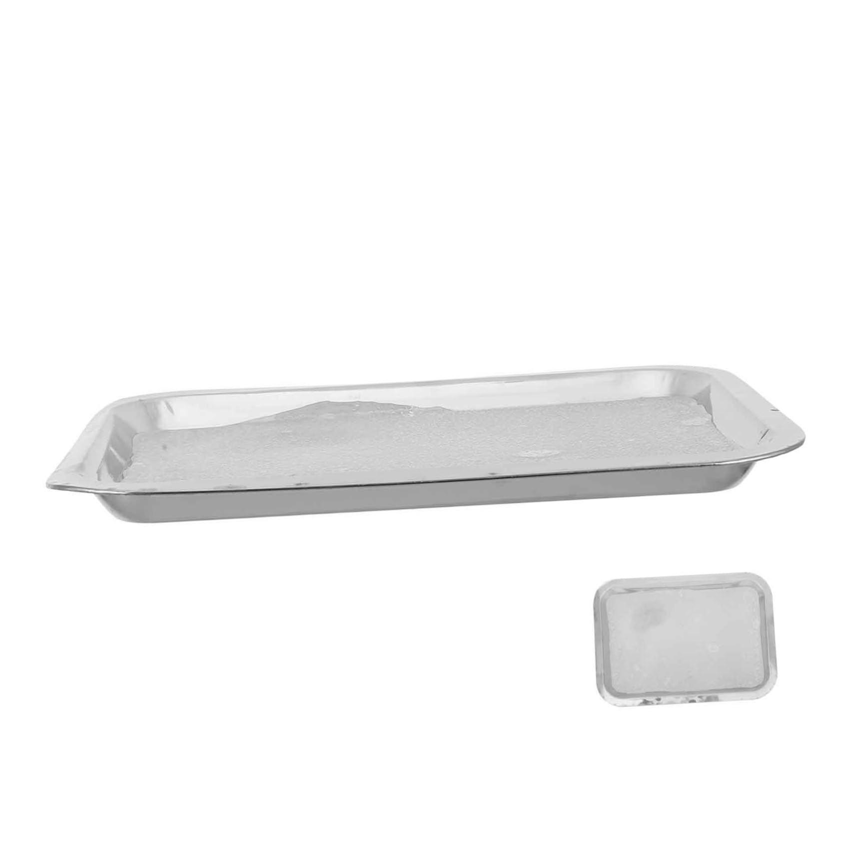 PRETYZOOM Anatomy Tray Stainless Steel Dissection Plate Lab Organizer Trays for Middle School Biology