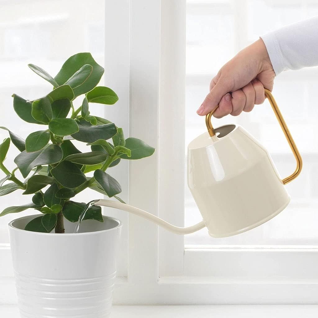 Watering Can, Watering Can Watering Can Ivory Gold Plant Watering Can with Long Spout Watering Pot Gardening Tools for Outdoor Indoor Plant Watering(White)