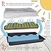 Heavy Duty 1020 Trays No Holes and Humidity Dome - 3 Pack | Seed Starter Tray with Dome Seed Starting Kit | Seed Tray with Clone Dome, Seedling Starter Tray, Seedling Trays -by Mr Sprout