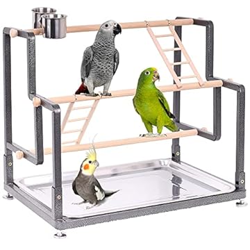 bird perch for a frame stand