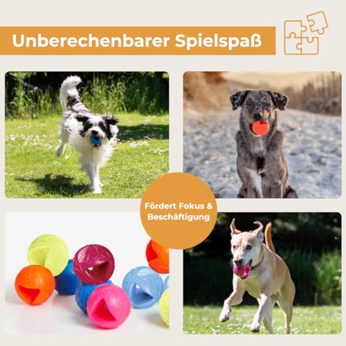 Martin Rütter Hundeball „Moby“ Blau – Hundespielzeug aus 100% Naturmaterial, springt unvorhersehbar und fördert Spiel, Bewegung & Auslastung