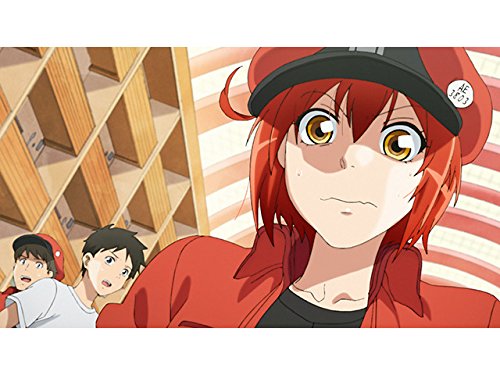 はたらく細胞ｏｐ ミッション 健 康 第 イチ 立体音響 Var ニコニコ動画