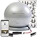 Home Gym Bundle Exercise Ball with 15LB Resistance Bands & Stability Base - Workout from Home - Great for All Fitness Levels - 65CM Anti-Burst Yoga Ball - Watch Exercise Videos Online