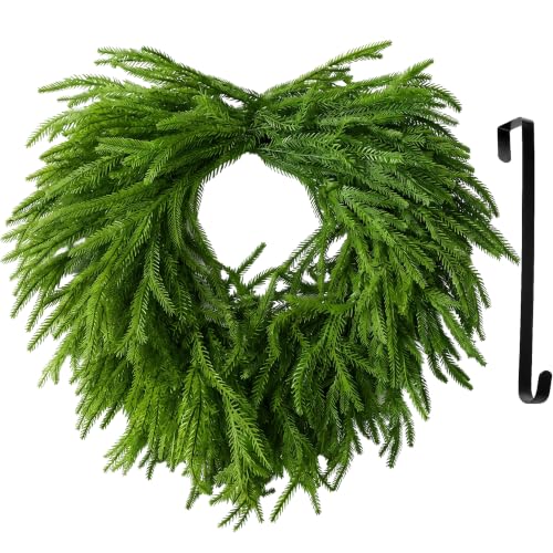 24 Inch Heart Shaped Norfolk Pine Wreath with 15 Inch Black Hanger - image 1