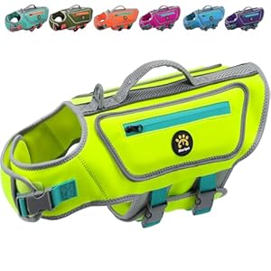 High Buoyancy Life Jacket for Dogs, Dog Life Vest for Swimming Adjustable Reflective Dog Floating Vest, Good Visibility Pet Safety Preserver with Rescue Handle for Medium Dogs (Green, M)