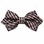 Terracotta George Plaid