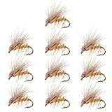 UPKOCH 10 pièces Lot Leurres Mouche Artificiels Réalistes pour Truite et Bass Accessoire...