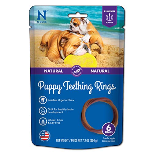 N-Bone Puppy Teething Ring Pumpkin Flavor 7.2 Oz/(6 Count)