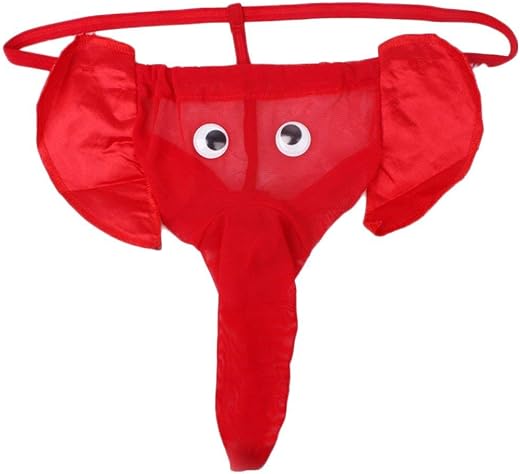 BROIDEN Lingerie G-String Underwear Mens Thong