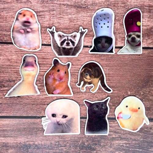 10PC Funny Meme Animals Fridge Magnets, Fun Cute Weird Magnetic Crying Cat Dog Hamster Duck Magnets for Gaming Kitchen Home Decor Bumper School Locker Work for Boys Girls Adult Accessories