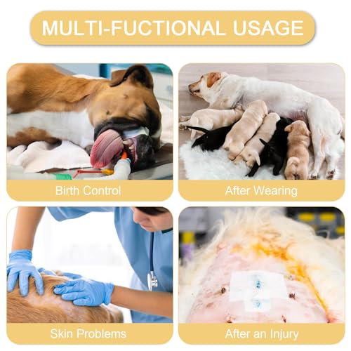 Image of Dog Surgery Suit Female Spay Recovery Suit for Dogs Surgical Recovery Suit for Female Dog Neuter Recovery Suit Male Dogs Onesie for Surgery Fits Small Medium Dog Bee /Small