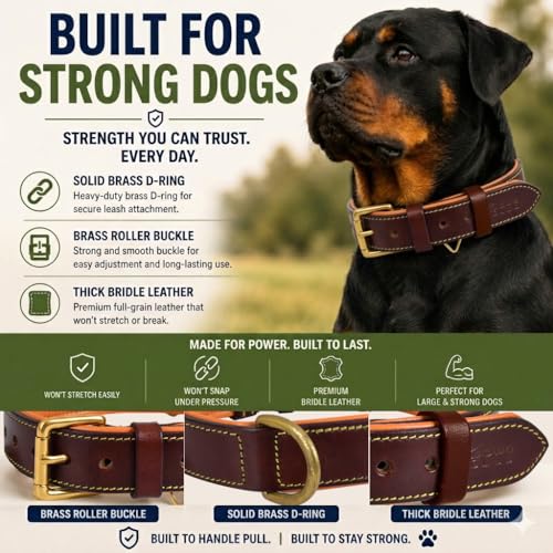 Image of Genuine Leather Dog Collar, Brown, Medium, Brass Buckle, Padded | 1 Inch Wide, Fit Neck Size - 14.5 inch - 18.5 inch, Double D Ring, Adjustable, Thick Leather, Heavy Duty, Soft Leather padding