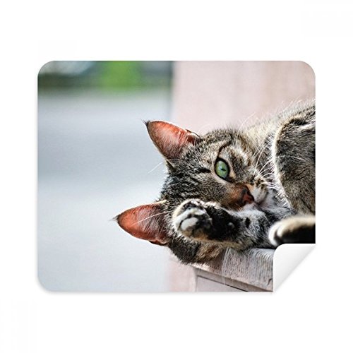 Animal Activity Cat Photograph Picture Cleaning Cloth Screen Cleaner 2pcs Suede Fabric