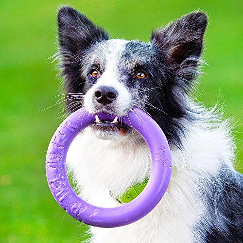 Ferplast Hunde Spielzeug, Hundetraining Ring zum Kauen, zum Laufen, Springen, Schießen, Ungiftig, Schwimmend, Puller MIDI, Hundespielzeug für kleine und mittelgroße Hunde, Set mit 2 Fitness Ringen