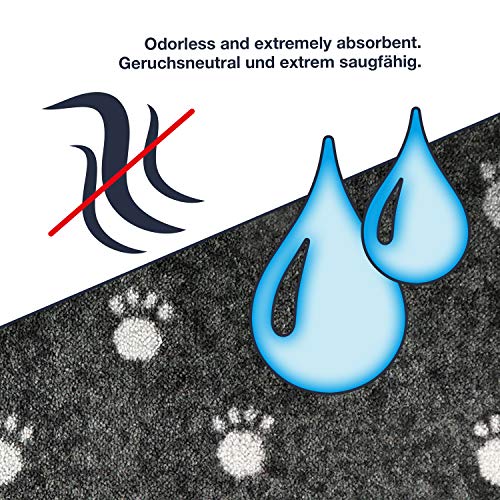 deco-mat Fußmatte Willkommen 40 x 60 cm Rot - rutschfeste, waschbare Fußmatte für Außen und Innen - Saugstarke Schmutzfangmatte für Eingangsbereich