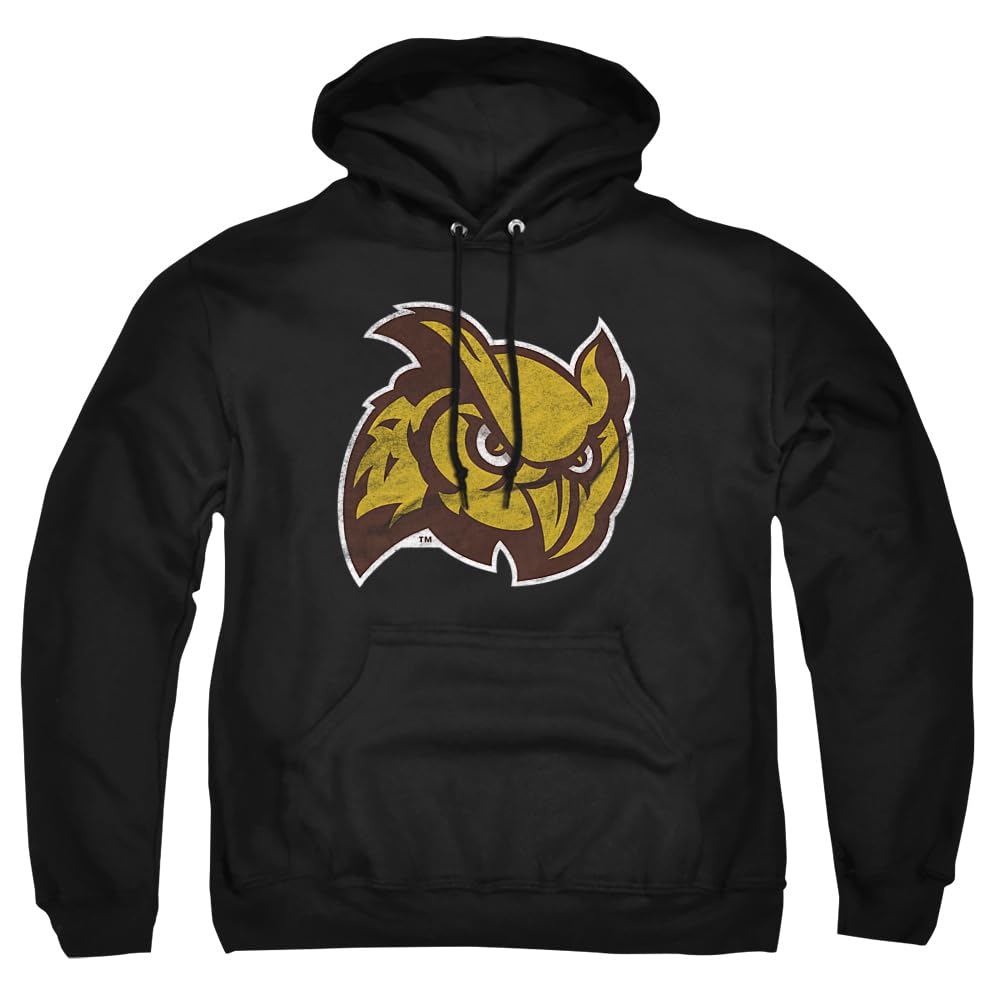 LOGOVISION Official Collegiate Distressed Primary Logo Adult Pullover Hoodie Collection — view 98