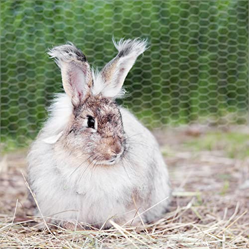 Chicken Wire,26M Chicken Wire Mesh Roll,Chicken Wire Mesh for Pet Rabbit Chicken Fencing