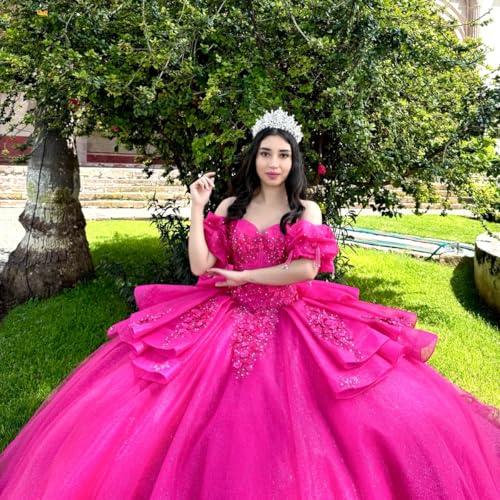 Glitter Long Sleeve Quinceanera Dresses with Bow Pleated Tassel Sweet 16 Dresses Beaded Tulle Vestido de 15 años3