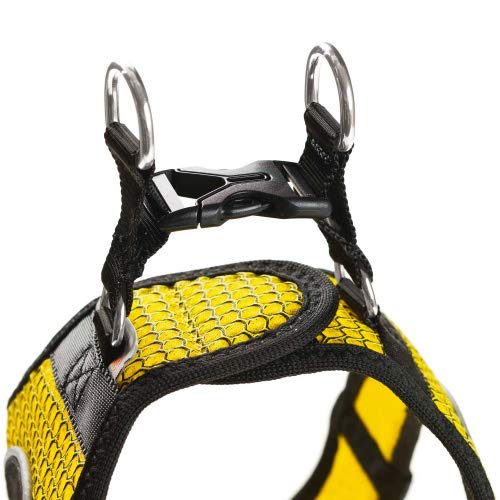 HUNTER Hilo Comfort BVB - Imbracatura per Cani con...
