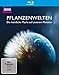 Produktbild Pflanzenwelten - Die heimliche Macht auf unserem Planeten [Blu-ray]