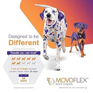 Joint-Support-Supplement-for-Dogs-Hip-and-Joint-Support-Dog-Joint-Supplement-Hip-and-Joint-Supplement-Dogs-120-Soft-Chews-for-Large-Dogs-By-Virbac - Cucciolini Doodles Joint-Support-Supplement-for-Dogs-Hip-and-Joint-Support-Dog-Joint-Supplement-Hip-and-Joint-Supplement-Dogs-120-Soft-Chews-for-Large-Dogs-By-Virbac