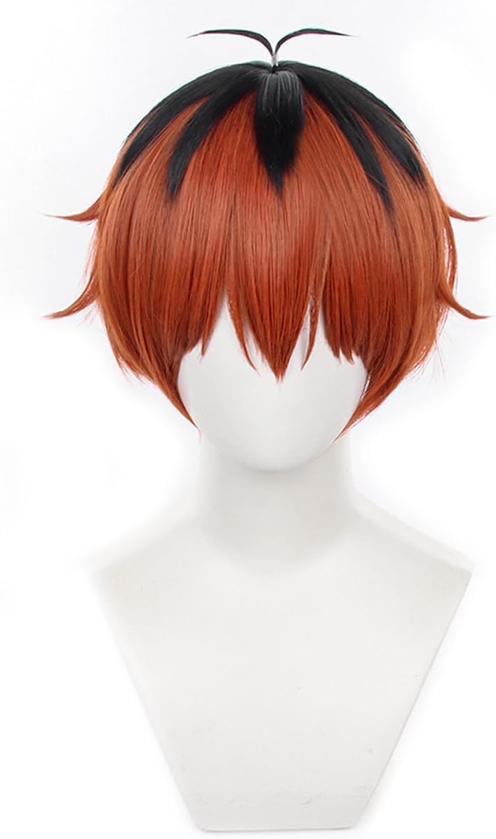 ZGNGLIZ Anime Frieren Cosplay Wig for Sousou no Frieren Long Silver White Hair Wigs with 2 Removable Ponytails for Women and Girls (Stark)