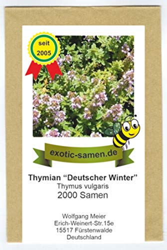 Garten-Thymian 'Deutscher Winter' - Thymus vulgaris - 2000 Samen