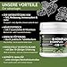 GreenPet Vitamin B Komplex Hund 120 Tabs – Liefert wichtige B Vitamine für Hunde (B1, B2, B3, B5, B6, B9 & B12), Vitamintabletten mit Folsäure, bis zu 4 Monate