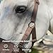 BARN & STABLE Horse Grazing Muzzle for Easy Breathe, Comfortable Muzzle Grazing for Horses with Adjustable Straps, Buckles, Suitable for Precaution of Laminitis