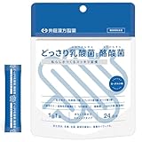 井藤漢方製薬 乳酸菌・酪酸菌サプリメント【どっさり乳酸菌と酪酸菌 24日分】