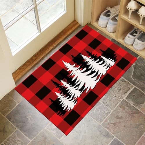 Tapis d'entrée lavable pour stopper la boue avec dos antidérapant