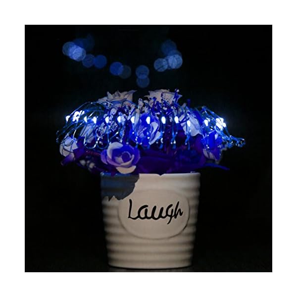 Liida led fairy string lights battery operated for wedding centerpiece christmas tree garlands mason jar craft party vase decoration - image 4