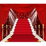 Red Carpet Backdrop 10x8ft Fabric Award Ceremony Party Pictures Movie Night Party Decoration Backdrops VIP Birthday Graduation Prom Events Background Wedding Banquet Photos - Image 4