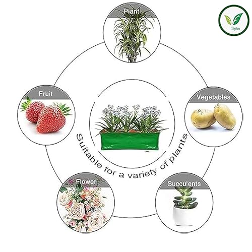 Image of IAgriFarm HDPE UV Treated Grow Bag, 250 GSM, 24 inchX12 inchX12 inch, Pack of 5,Suitable for Terrace and Vegetable Gardening