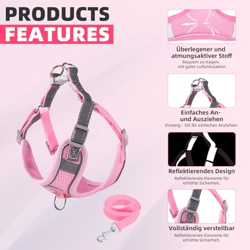 Hundegeschirr mit Hundeleine Set, Air-Mesh Atmungsaktiv Brustgeschirr für Kleine, Mittelgroße Hunde & Welpen, Weich Gepolstert Einstellbar Reflektierend Geschirr (Rosa, S)