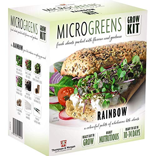 Microgreens Rainbow Seed Grow Kit - Hardy Annual - Seeds - Easy to Grow Your Own at Home - 1 x Seed Grow Kit by Thompson and Morgan