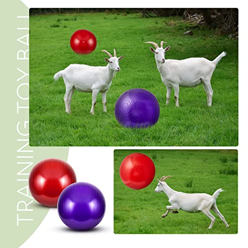 Sotiff 2 Pcs Goat Yoga Ball Toy Anti Burst Herding Ball Pvc Large Exercise Training Toy Ball With Inflator Pump Goat Toys For Goats To Play With Lamb Outdoor Entertainment Toy, 17.7 Inch, Red, Purple #TOP5